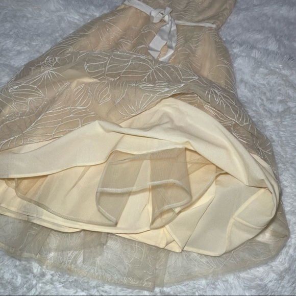 BCBG Off White Sheer Yoke MIDI Dress 4 - Picture 11 of 16